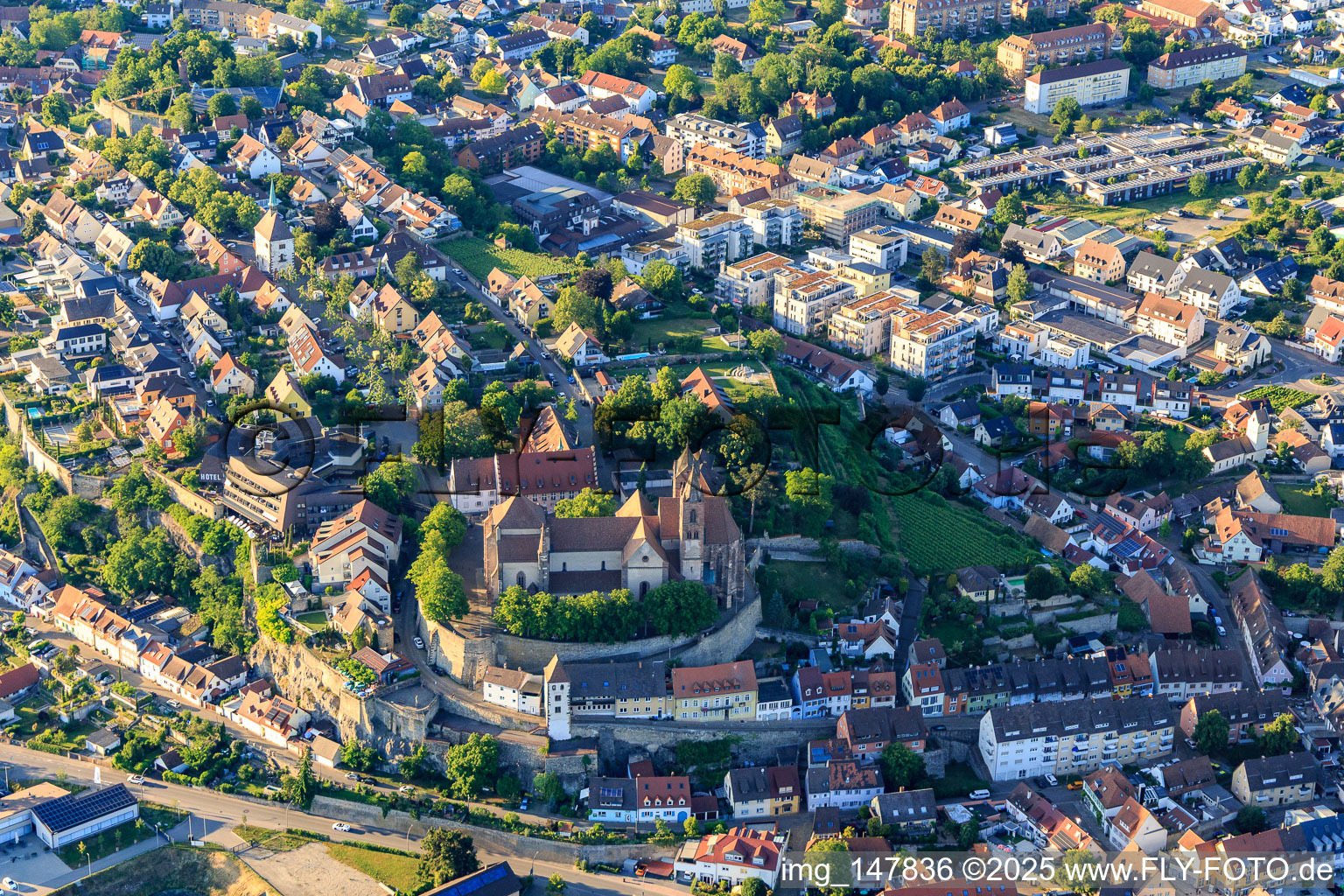 Vue aérienne de Cathédrale Saint-Étienne de Breisach vue de l'ouest à Breisach am Rhein dans le département Bade-Wurtemberg, Allemagne