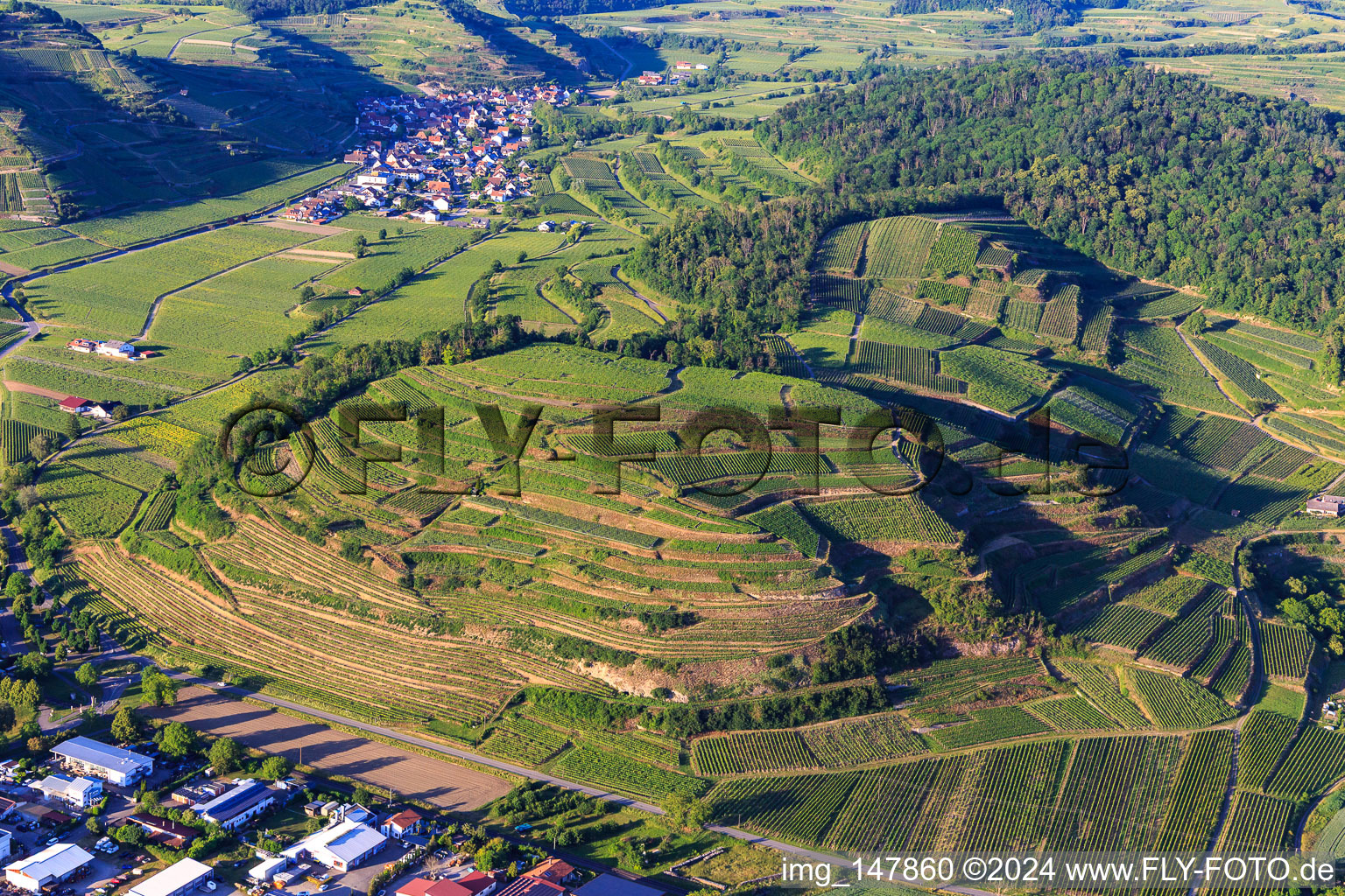 Vue aérienne de Vignobles du Kaiserstuhl vus de l'ouest à le quartier Achkarren in Vogtsburg im Kaiserstuhl dans le département Bade-Wurtemberg, Allemagne