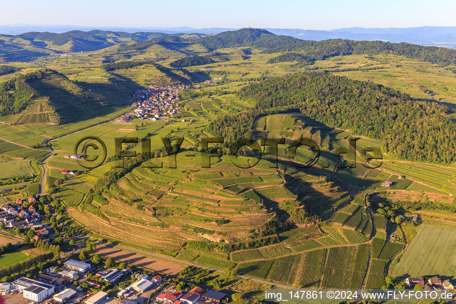 Vue aérienne de Vignobles du Kaiserstuhl vus de l'ouest à le quartier Achkarren in Vogtsburg im Kaiserstuhl dans le département Bade-Wurtemberg, Allemagne
