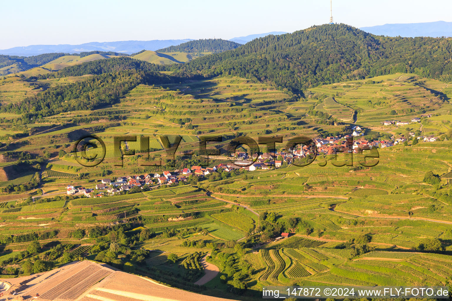 Vue aérienne de Village viticole du Kaiserstuhl vu de l'ouest à le quartier Bickensohl in Vogtsburg im Kaiserstuhl dans le département Bade-Wurtemberg, Allemagne