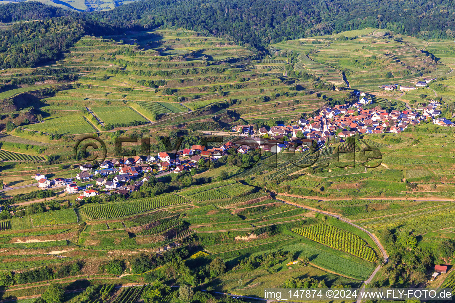 Vue aérienne de Village viticole du Kaiserstuhl vu de l'ouest à le quartier Bickensohl in Vogtsburg im Kaiserstuhl dans le département Bade-Wurtemberg, Allemagne
