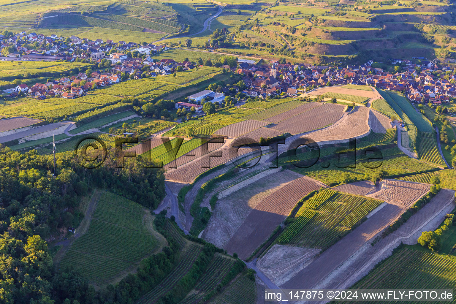 Vue aérienne de Chantier de réaménagement de vignobles en terrasses à le quartier Oberrotweil in Vogtsburg im Kaiserstuhl dans le département Bade-Wurtemberg, Allemagne