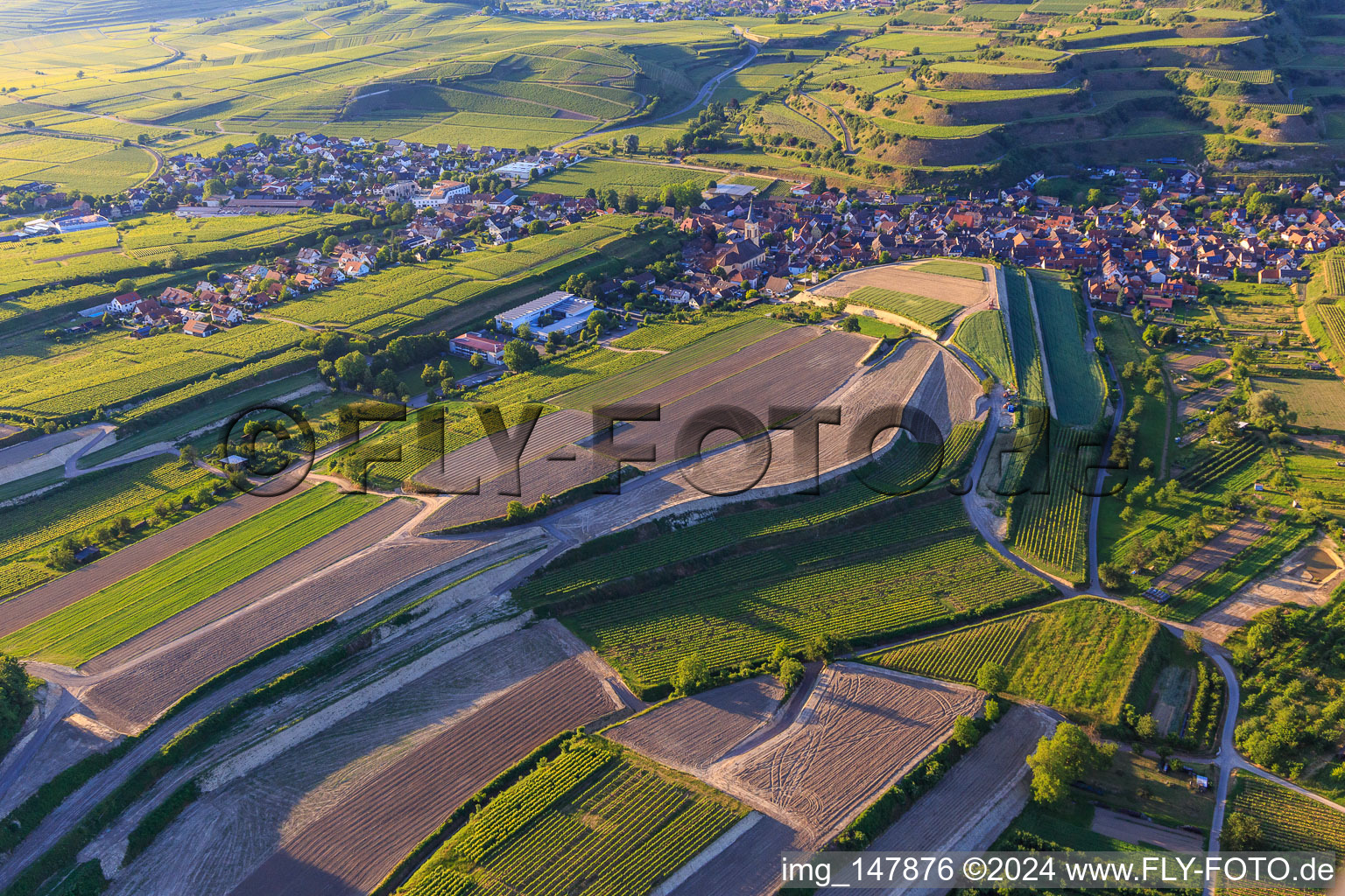 Vue aérienne de Chantier de réaménagement de vignobles en terrasses à le quartier Oberrotweil in Vogtsburg im Kaiserstuhl dans le département Bade-Wurtemberg, Allemagne