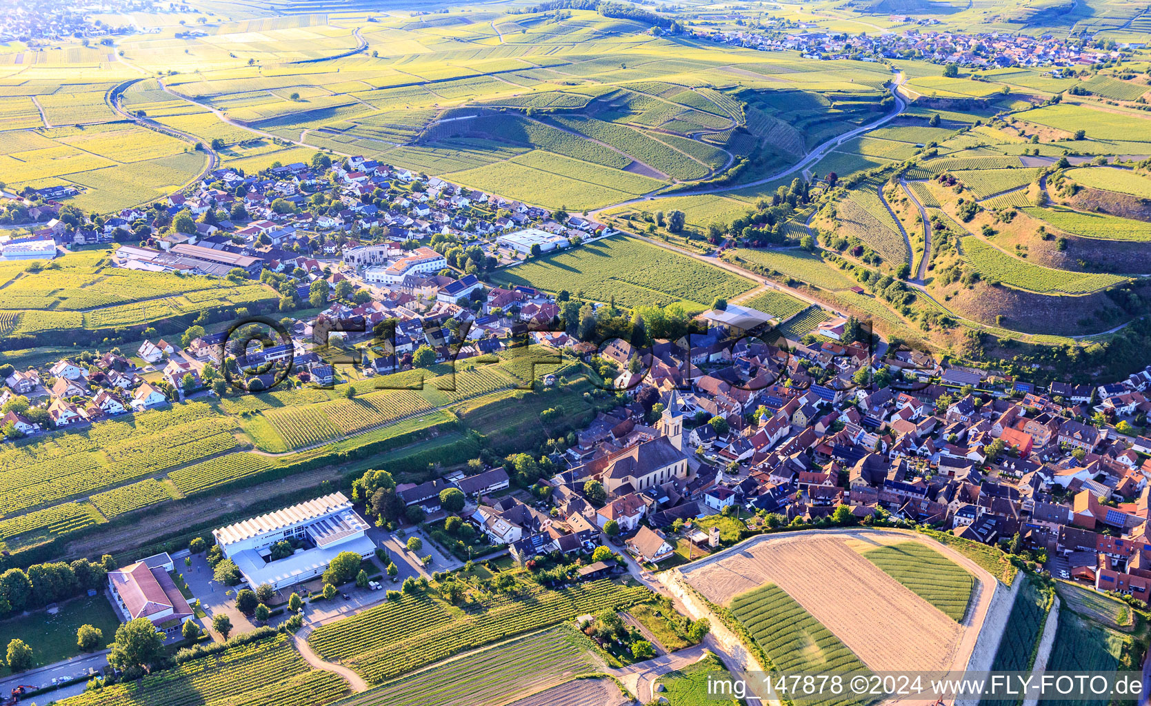 Vue aérienne de Eisentalstraße avec l'église Saint-Jean-Baptiste et l'école Wilhelm Hildenbrand à le quartier Oberrotweil in Vogtsburg im Kaiserstuhl dans le département Bade-Wurtemberg, Allemagne