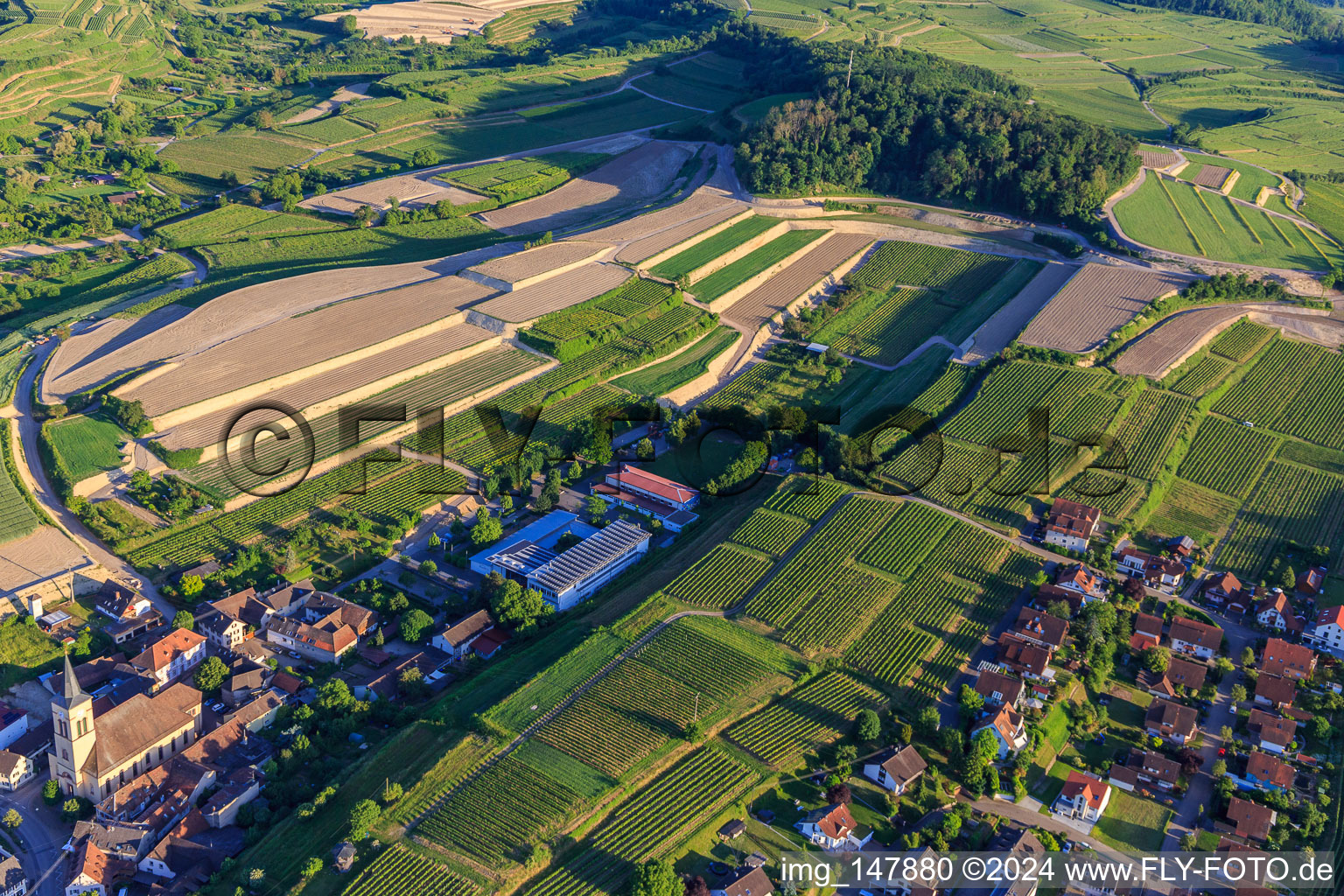 Photographie aérienne de Chantier de réaménagement de vignobles en terrasses à le quartier Oberrotweil in Vogtsburg im Kaiserstuhl dans le département Bade-Wurtemberg, Allemagne