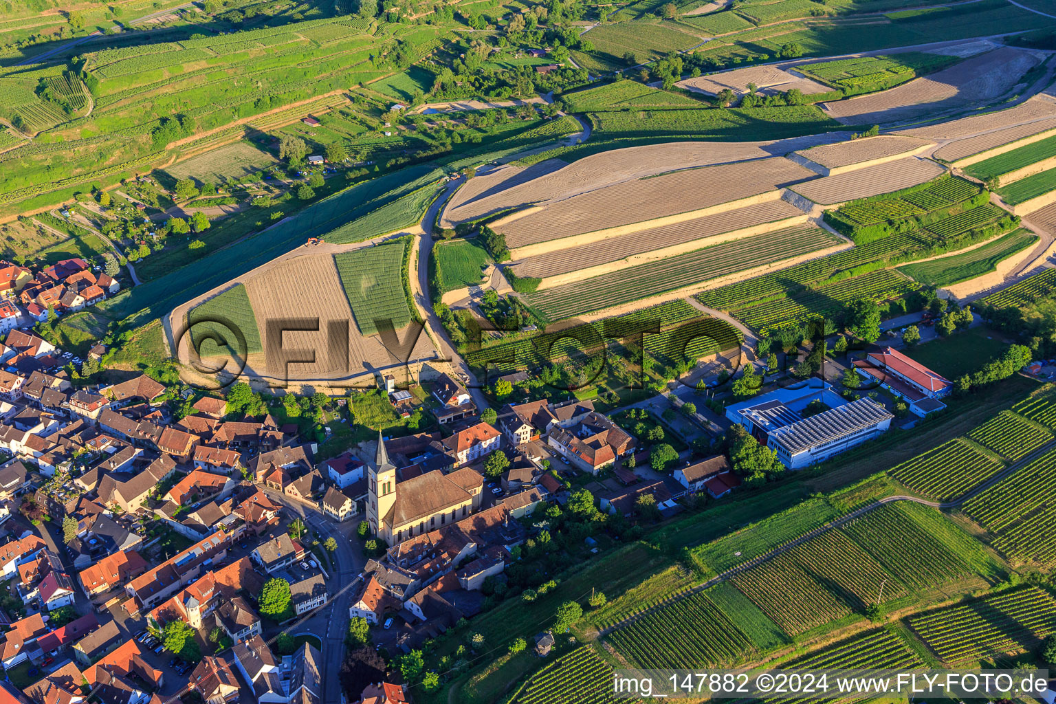 Vue oblique de Chantier de réaménagement de vignobles en terrasses à le quartier Oberrotweil in Vogtsburg im Kaiserstuhl dans le département Bade-Wurtemberg, Allemagne