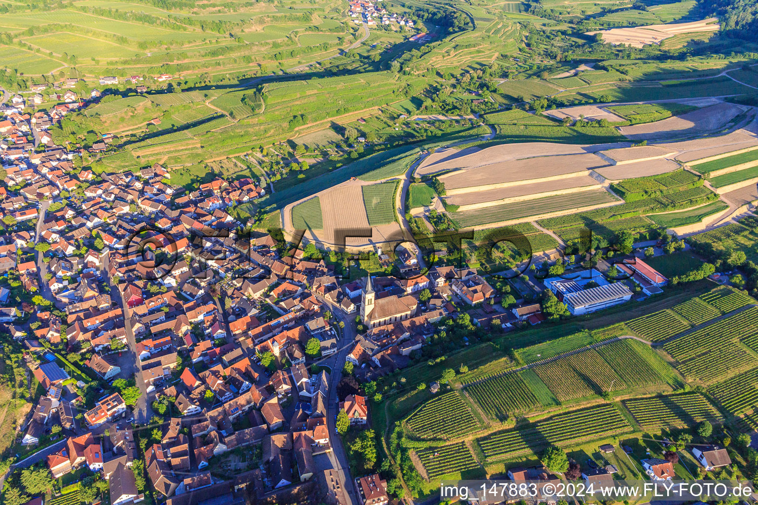 Chantier de réaménagement de vignobles en terrasses à le quartier Oberrotweil in Vogtsburg im Kaiserstuhl dans le département Bade-Wurtemberg, Allemagne d'en haut
