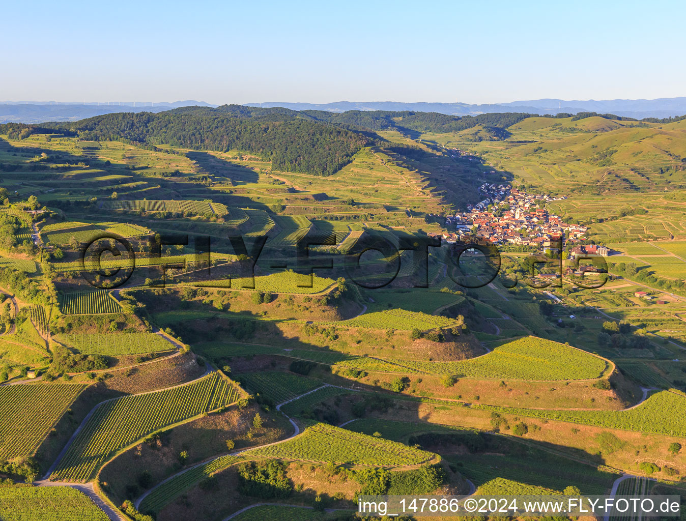 Vue aérienne de Vignobles en terrasses du Kaiserstuhl vus de l'ouest à le quartier Oberrotweil in Vogtsburg im Kaiserstuhl dans le département Bade-Wurtemberg, Allemagne