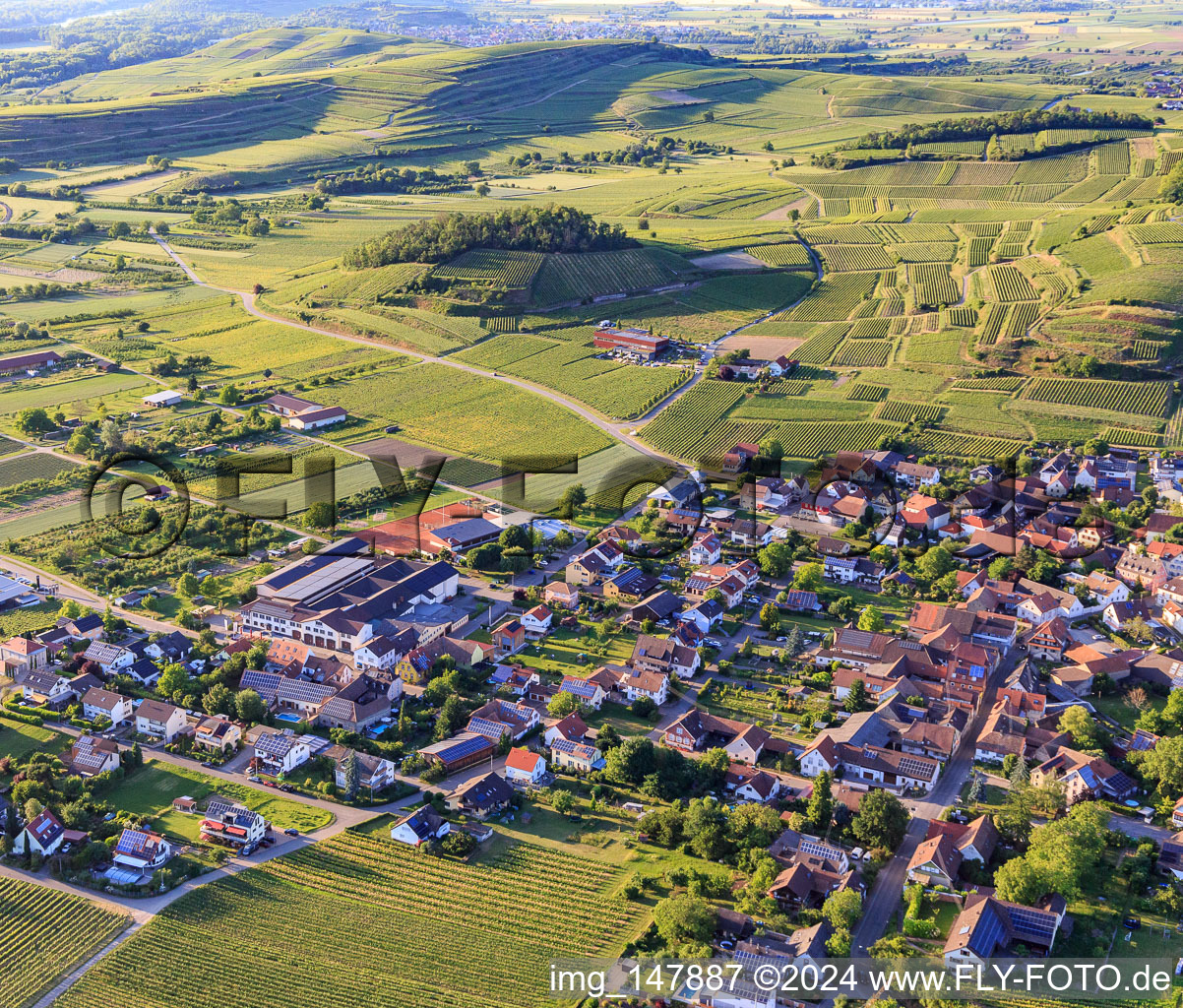 Vue aérienne de Village viticole du Kaiserstuhl vu du sud-est à le quartier Bischoffingen in Vogtsburg im Kaiserstuhl dans le département Bade-Wurtemberg, Allemagne