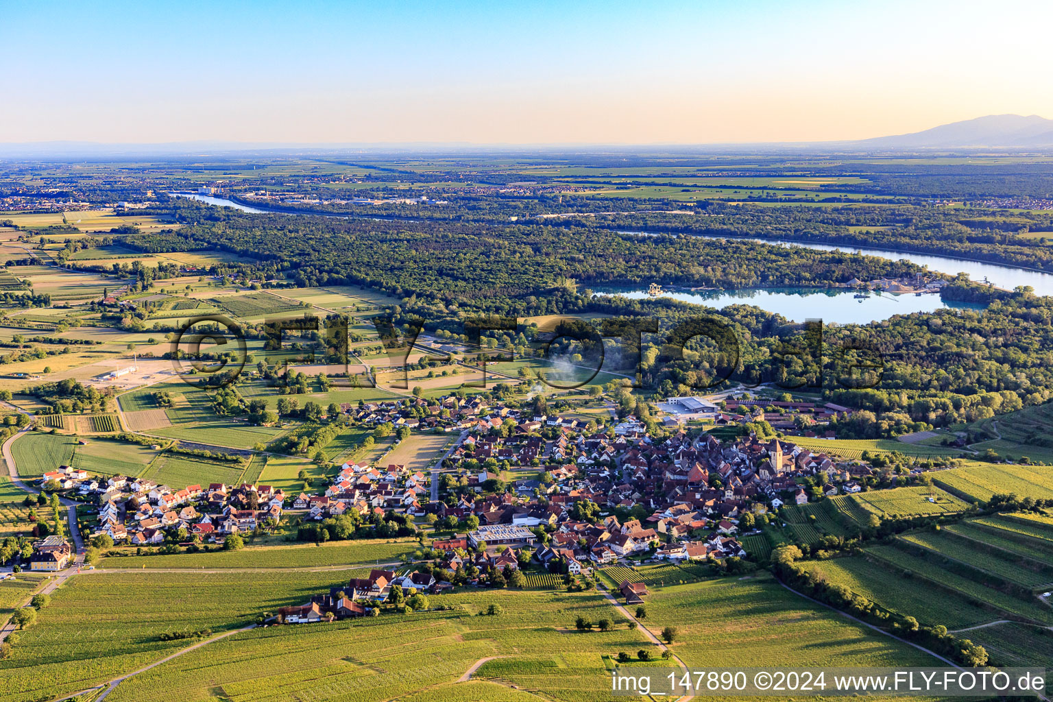 Vue aérienne de Village viticole du Kaiserstuhl vu du nord à le quartier Burkheim in Vogtsburg im Kaiserstuhl dans le département Bade-Wurtemberg, Allemagne