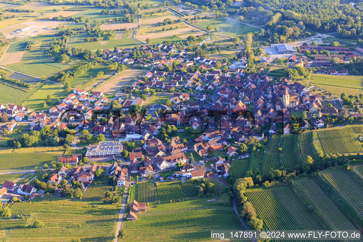 Vue aérienne de Vue d'ensemble du village depuis le nord à le quartier Burkheim in Vogtsburg im Kaiserstuhl dans le département Bade-Wurtemberg, Allemagne
