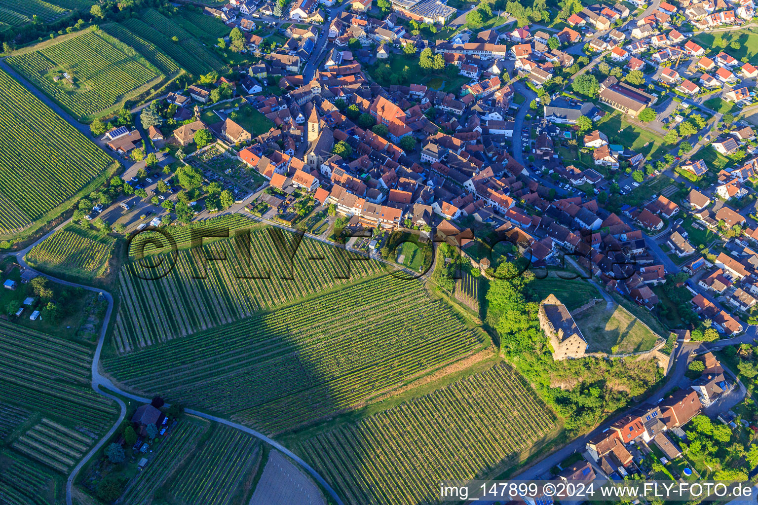 Vue aérienne de Vue du village viticole depuis le sud-ouest avec l'église Saint-Pankratius et les ruines du château Burkheim au-dessus du vignoble à le quartier Burkheim in Vogtsburg im Kaiserstuhl dans le département Bade-Wurtemberg, Allemagne