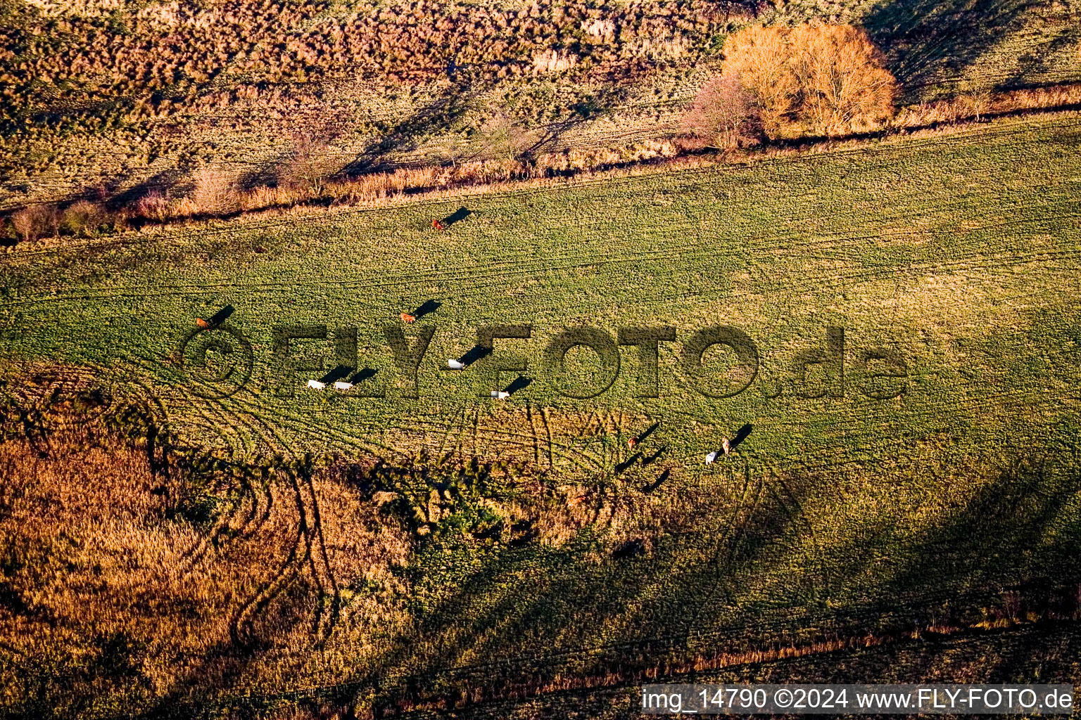 Hergersweiler dans le département Rhénanie-Palatinat, Allemagne vue du ciel