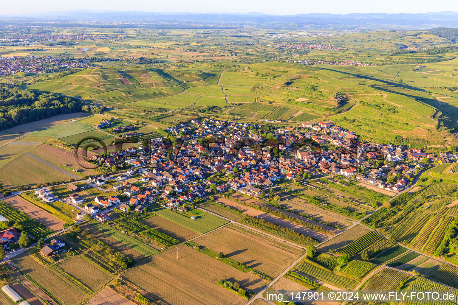 Vue aérienne de Vue d'ensemble du village depuis le sud à le quartier Jechtingen in Sasbach am Kaiserstuhl dans le département Bade-Wurtemberg, Allemagne