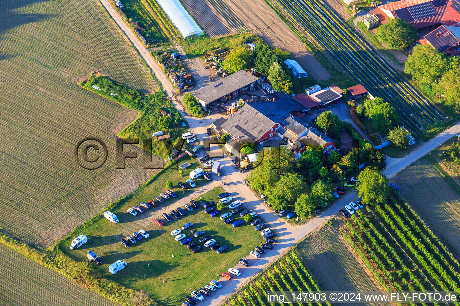 Vue aérienne de Restaurant Les Autruches de Gerhart à le quartier Jechtingen in Sasbach am Kaiserstuhl dans le département Bade-Wurtemberg, Allemagne