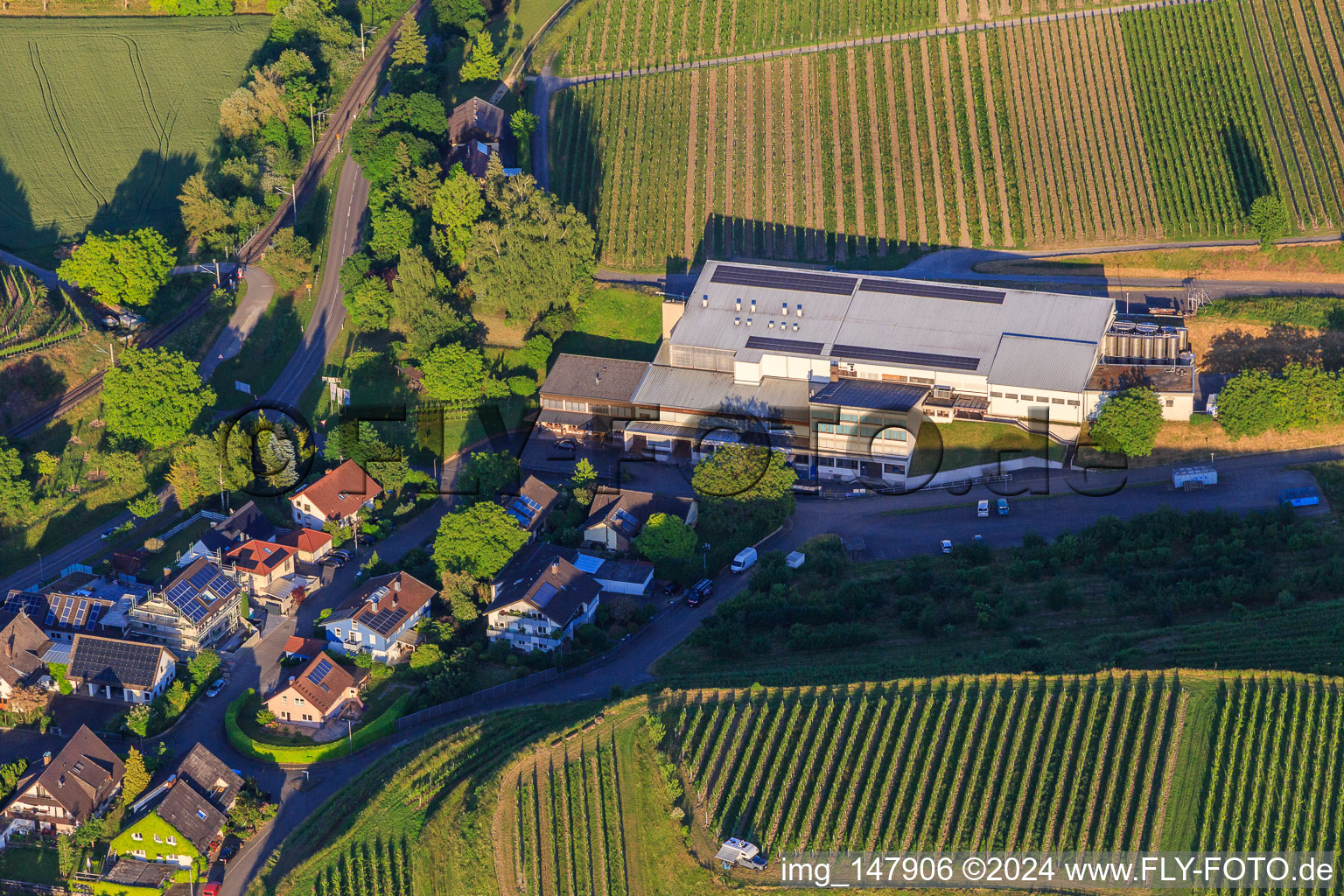 Vue aérienne de Jechtinger Weinmanufaktur eG à le quartier Jechtingen in Sasbach am Kaiserstuhl dans le département Bade-Wurtemberg, Allemagne