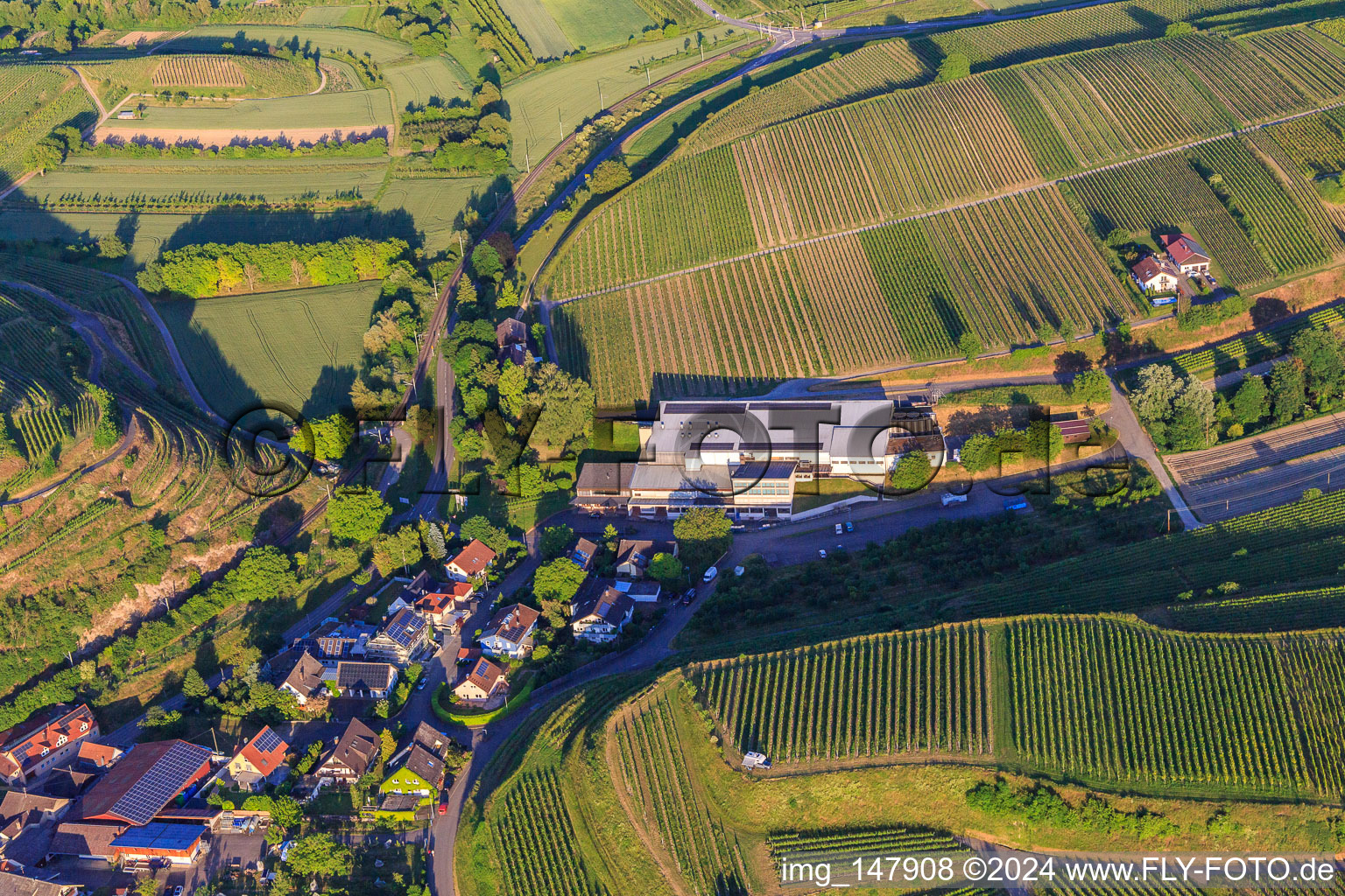 Vue aérienne de Jechtinger Weinmanufaktur eG à le quartier Jechtingen in Sasbach am Kaiserstuhl dans le département Bade-Wurtemberg, Allemagne
