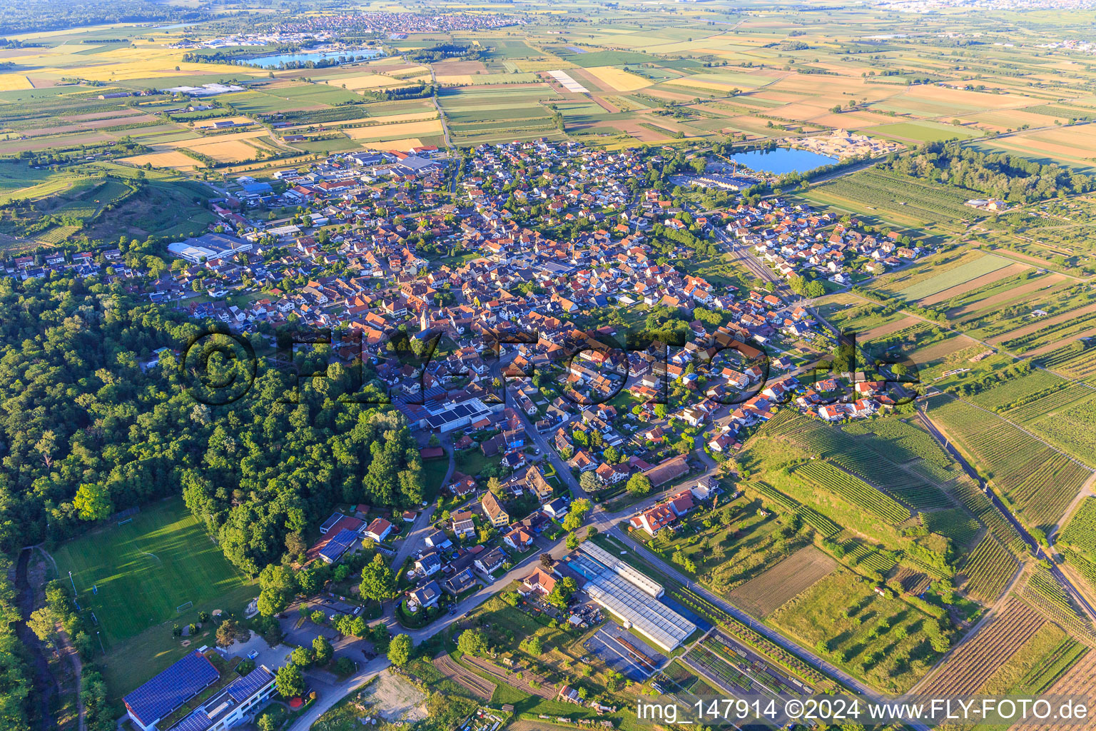 Vue aérienne de Vue de la ville depuis le sud-ouest à Sasbach am Kaiserstuhl dans le département Bade-Wurtemberg, Allemagne
