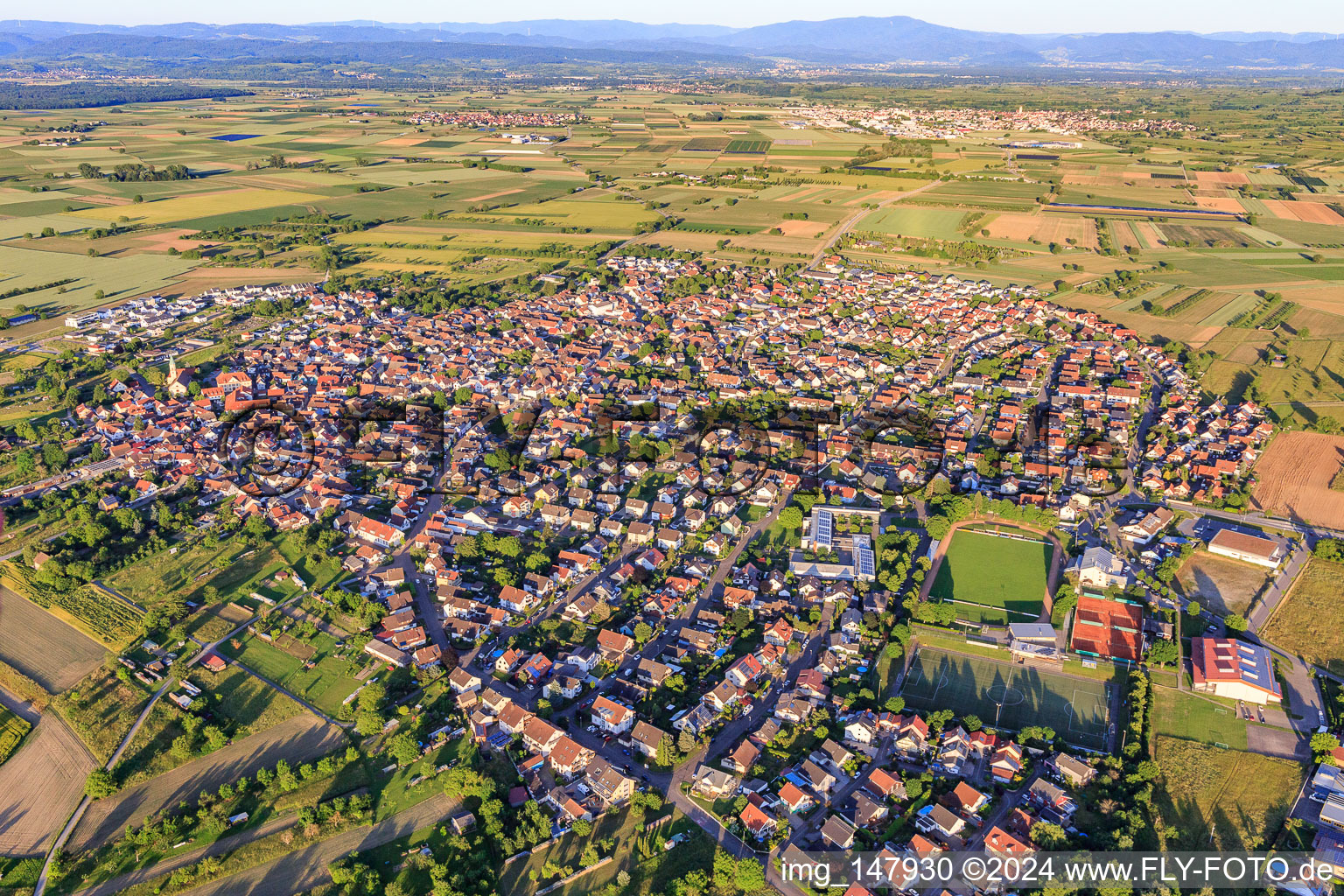 Vue aérienne de Vue de la ville depuis l'ouest à Wyhl am Kaiserstuhl dans le département Bade-Wurtemberg, Allemagne
