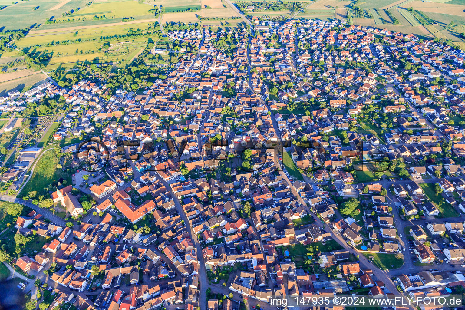 Vue aérienne de Vue d'ensemble de la ville depuis le nord-ouest à Wyhl am Kaiserstuhl dans le département Bade-Wurtemberg, Allemagne