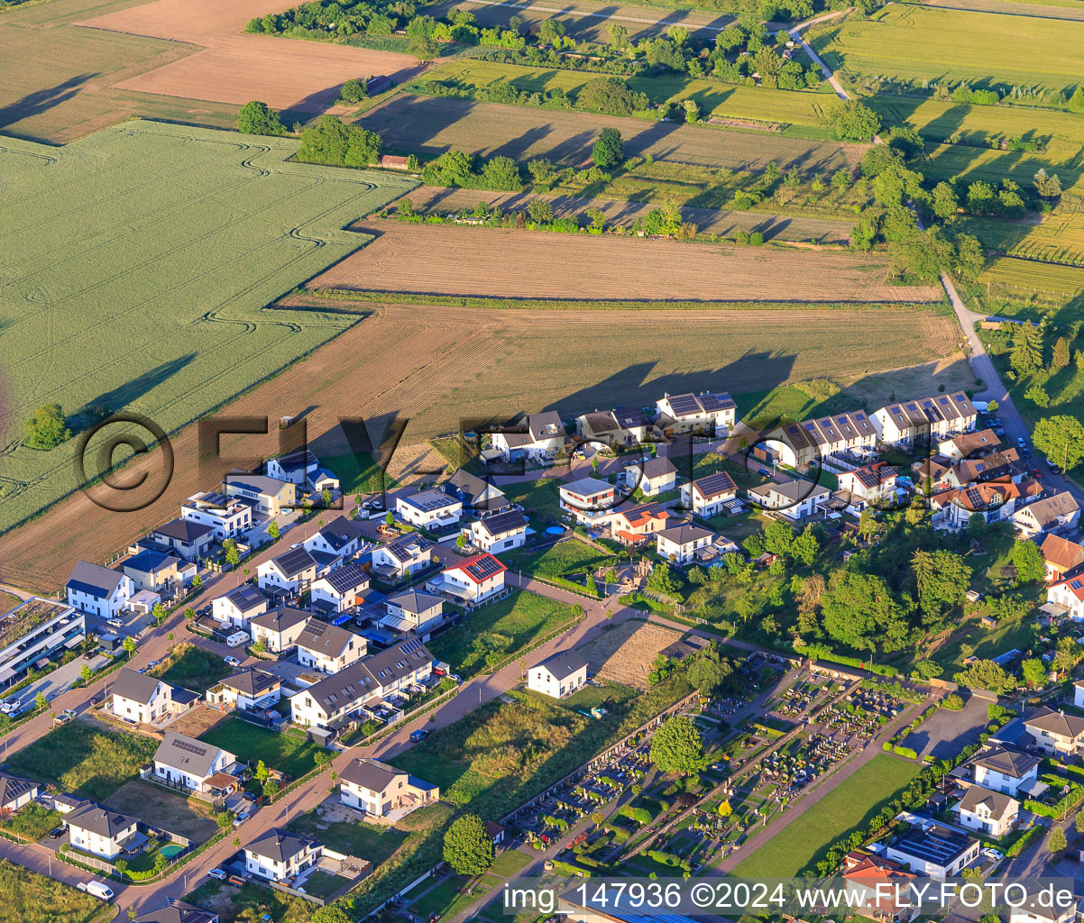 Vue aérienne de Nouvelle zone de développement Wellinger Straße à Wyhl am Kaiserstuhl dans le département Bade-Wurtemberg, Allemagne
