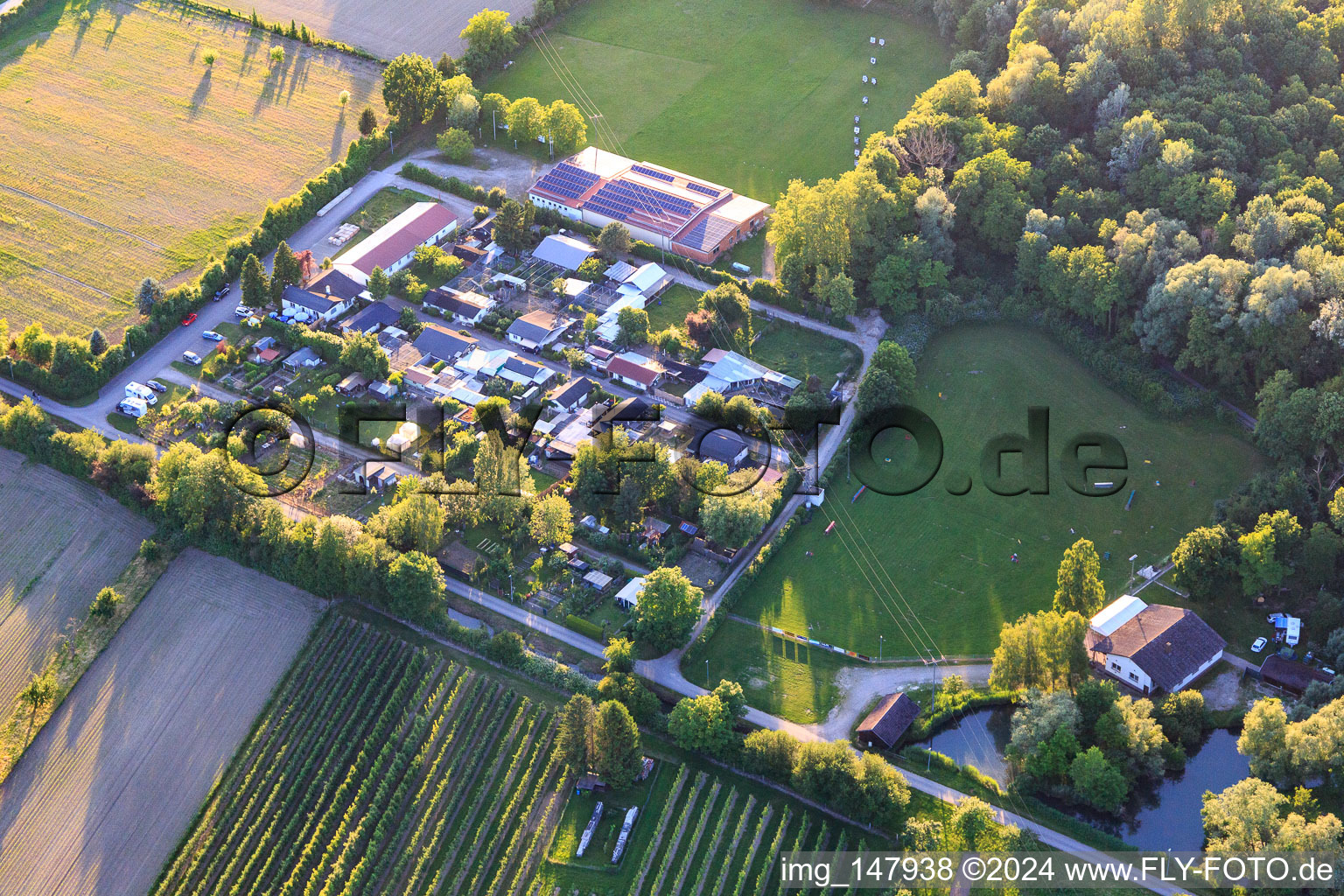 Vue aérienne de Terrains du club des Amis du tir à l'arc de Wyhl eV, du Club d'élevage de petits animaux de Wyhl et du Club des amoureux des chiens à Wyhl am Kaiserstuhl dans le département Bade-Wurtemberg, Allemagne