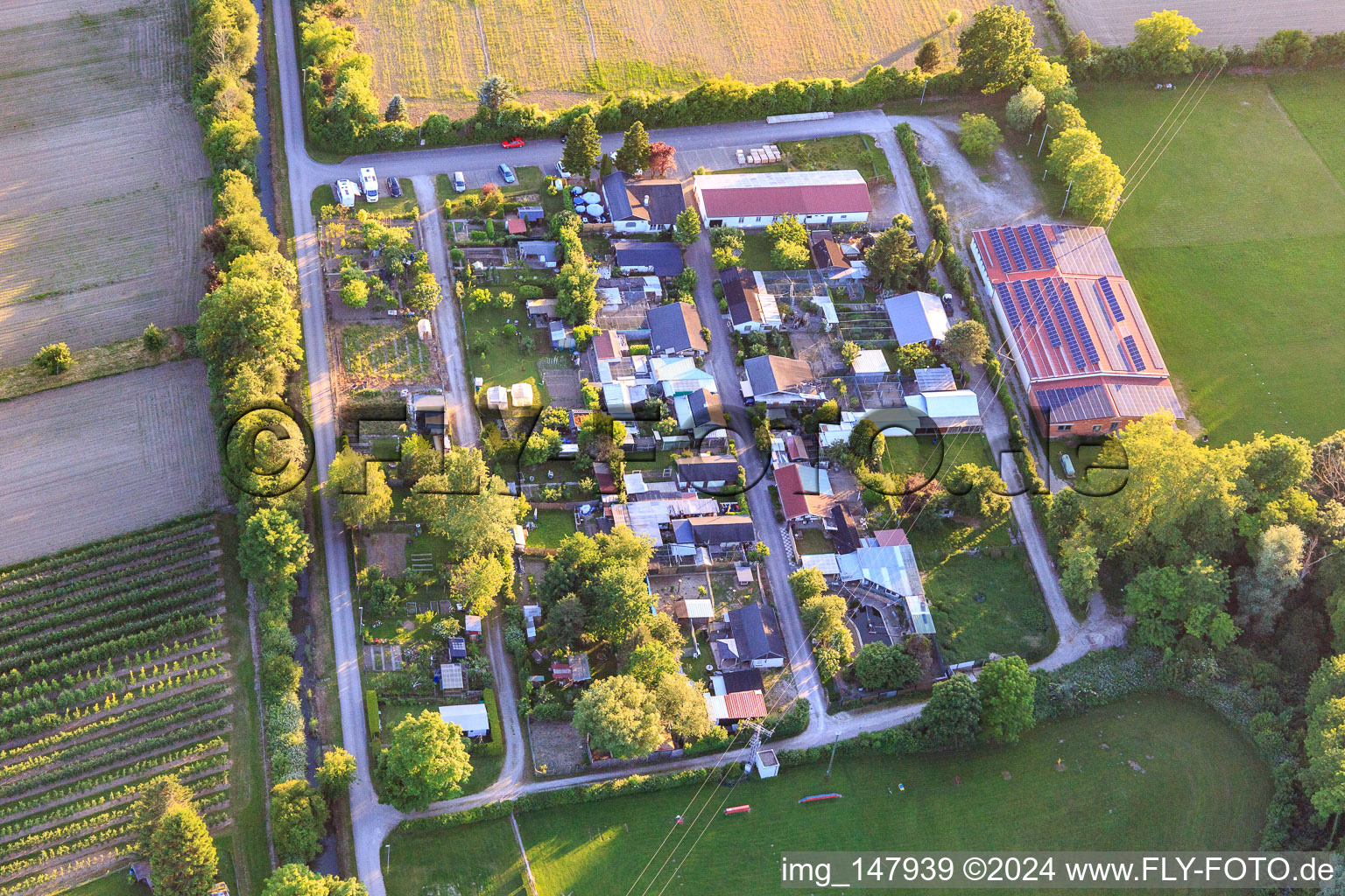 Vue aérienne de Terrains du club des Amis du tir à l'arc de Wyhl eV, du Club d'élevage de petits animaux de Wyhl et du Club des amoureux des chiens à Wyhl am Kaiserstuhl dans le département Bade-Wurtemberg, Allemagne