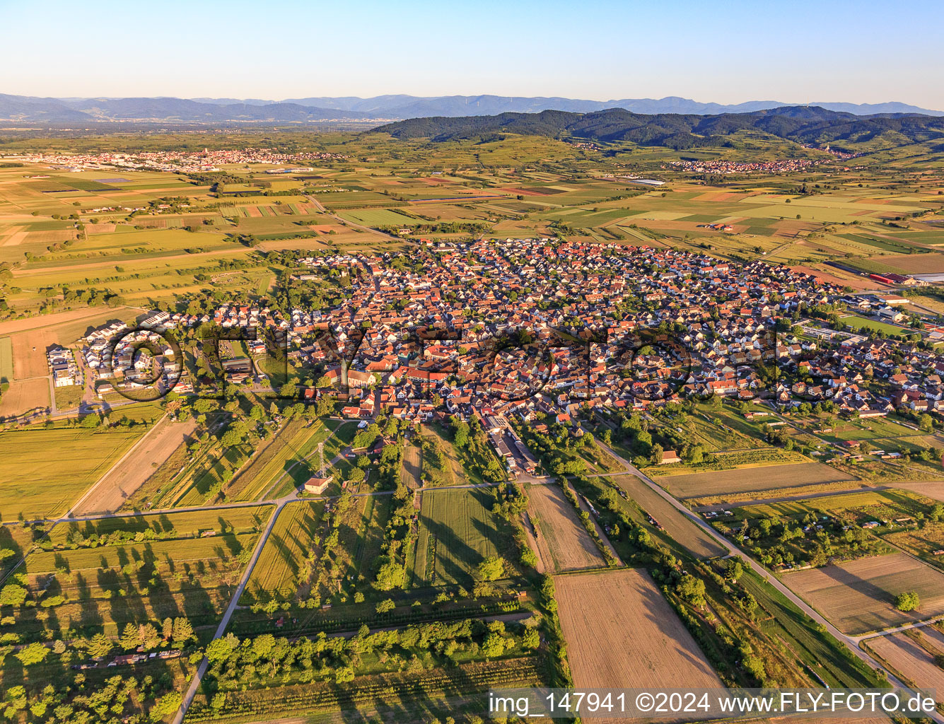 Vue aérienne de Vue de la ville depuis l'ouest à Wyhl am Kaiserstuhl dans le département Bade-Wurtemberg, Allemagne