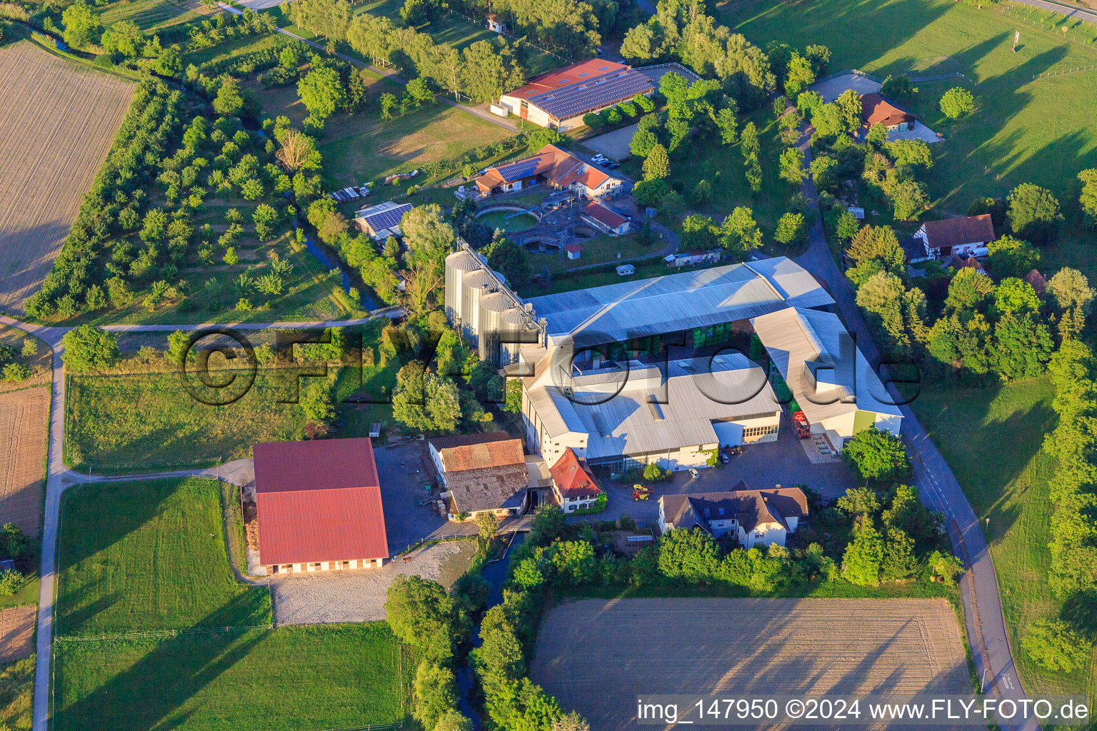 Vue aérienne de Entrepôts et silos de Südgetreide GmbH & Co. Kommanditgesellschaft à Weisweil dans le département Bade-Wurtemberg, Allemagne