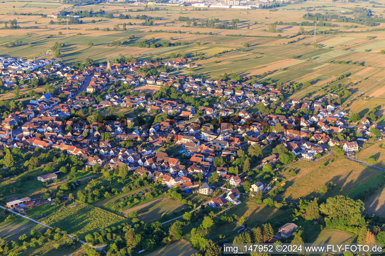 Vue aérienne de Vue d'ensemble de la ville depuis l'ouest à le quartier Oberhausen in Rheinhausen dans le département Bade-Wurtemberg, Allemagne