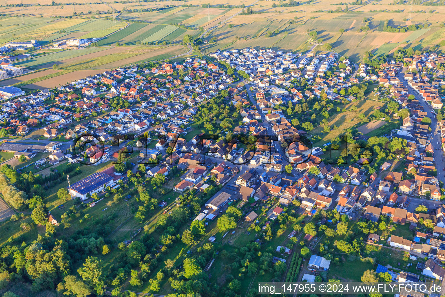Photographie aérienne de Vue d'ensemble de la ville depuis l'ouest à le quartier Oberhausen in Rheinhausen dans le département Bade-Wurtemberg, Allemagne