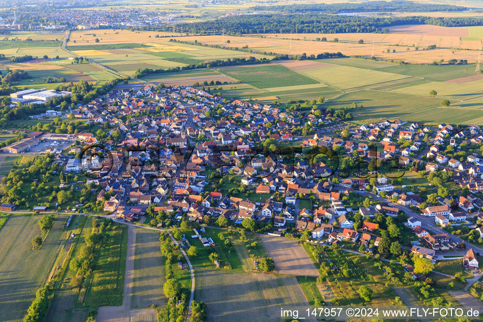 Vue aérienne de Vue d'ensemble de la ville depuis le sud-ouest à le quartier Niederhausen in Rheinhausen dans le département Bade-Wurtemberg, Allemagne