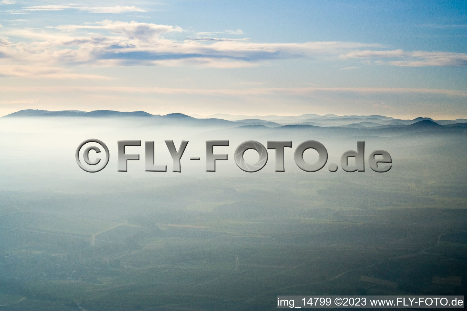 Vue aérienne de Dur sur Hergersweiler à Hergersweiler dans le département Rhénanie-Palatinat, Allemagne