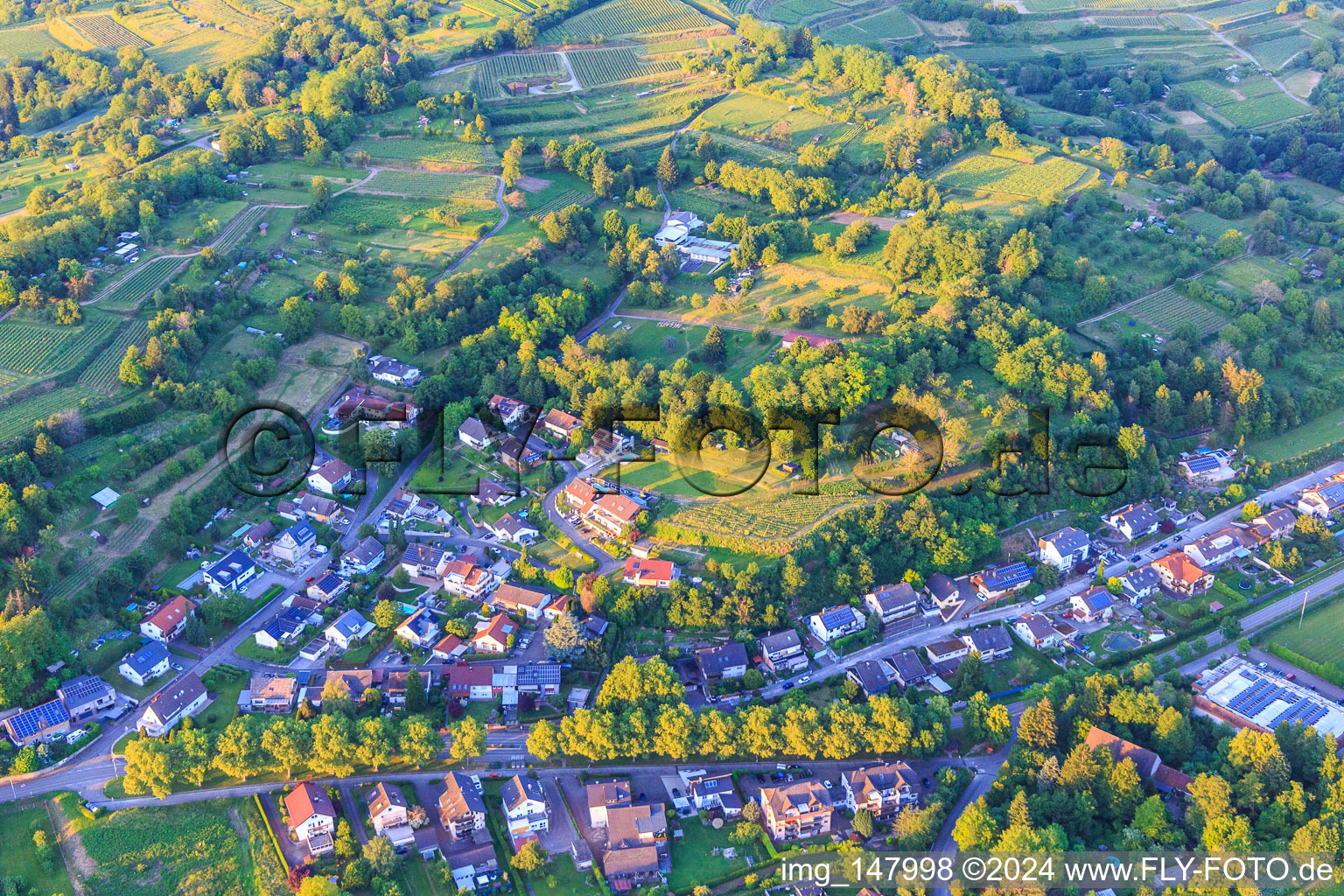 Vue aérienne de Dans Häldele à Kippenheim dans le département Bade-Wurtemberg, Allemagne