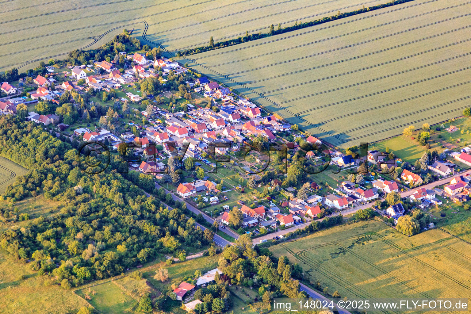 Vue aérienne de Colonie de la Karl-Marx-Straße à Aschersleben dans le département Saxe-Anhalt, Allemagne