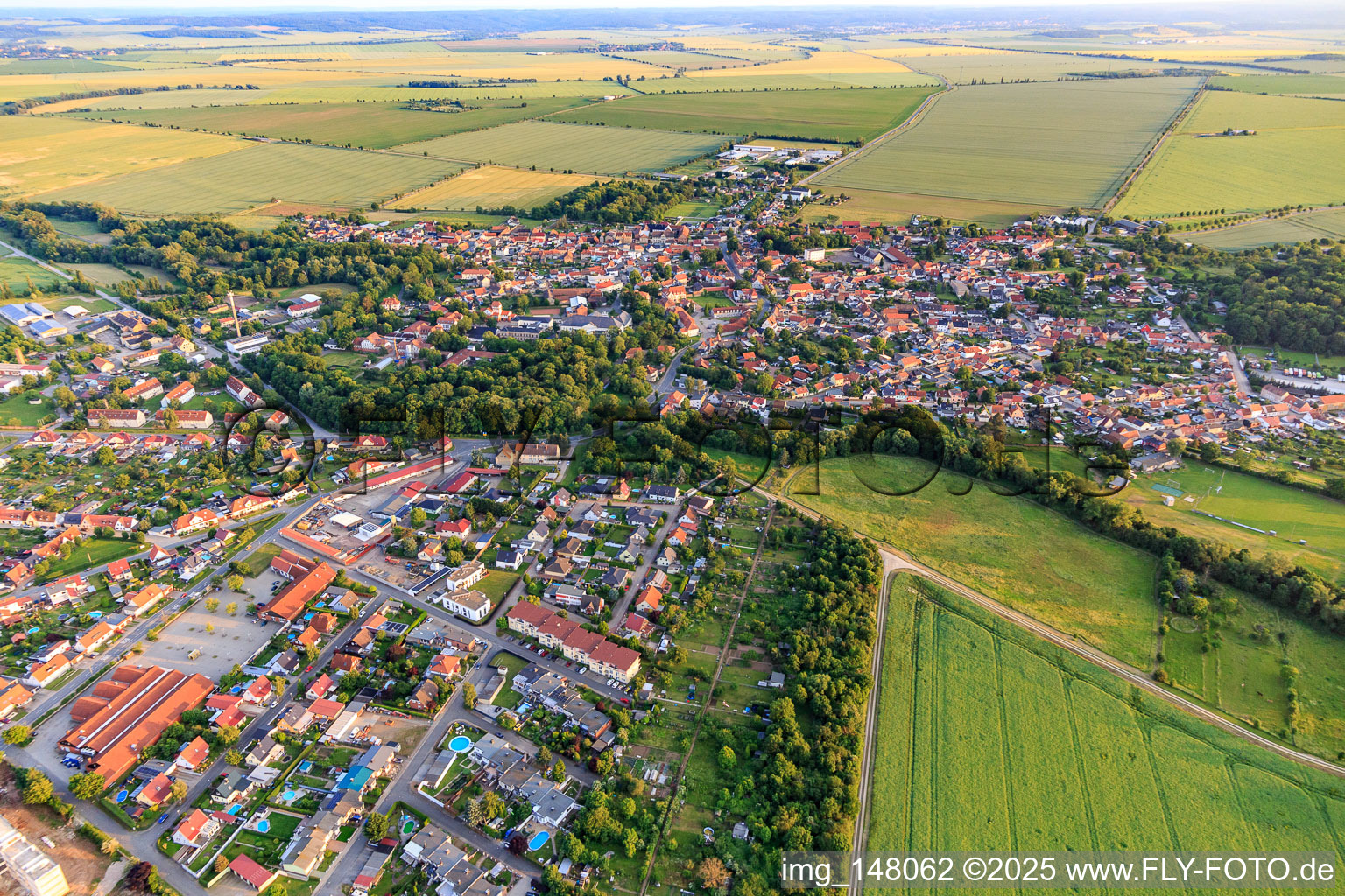 Vue aérienne de Vue d'ensemble de la ville depuis le nord-est à le quartier Hoym in Seeland dans le département Saxe-Anhalt, Allemagne