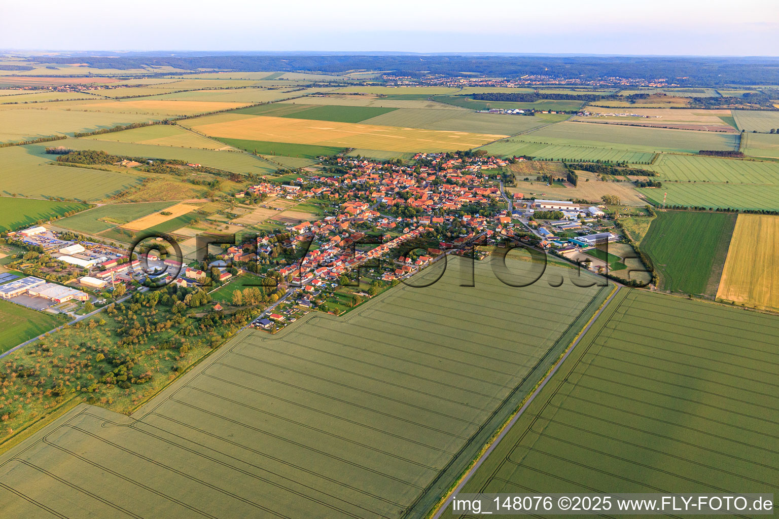 Vue aérienne de Vue du nord à le quartier Badeborn in Ballenstedt dans le département Saxe-Anhalt, Allemagne