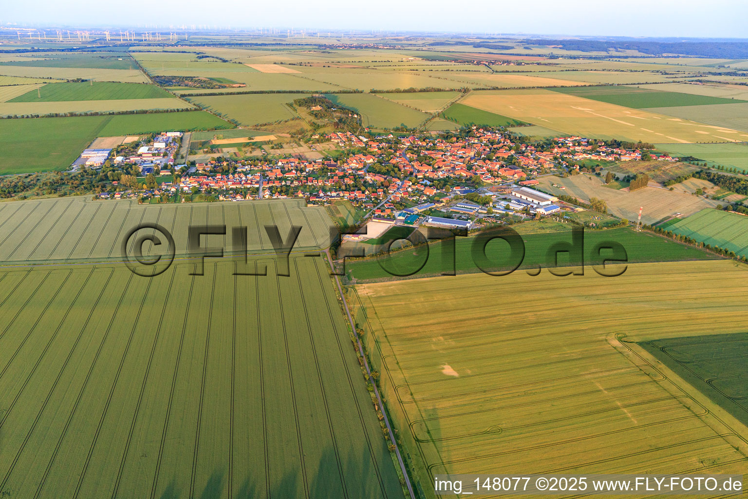 Vue aérienne de Vue de la ville depuis le nord-ouest à le quartier Badeborn in Ballenstedt dans le département Saxe-Anhalt, Allemagne