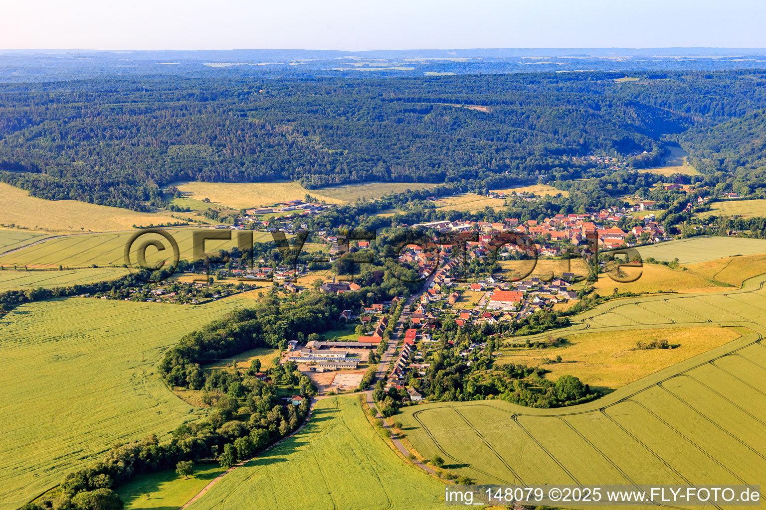 Vue aérienne de Vue du village depuis le nord à le quartier Meisdorf in Falkenstein dans le département Saxe-Anhalt, Allemagne