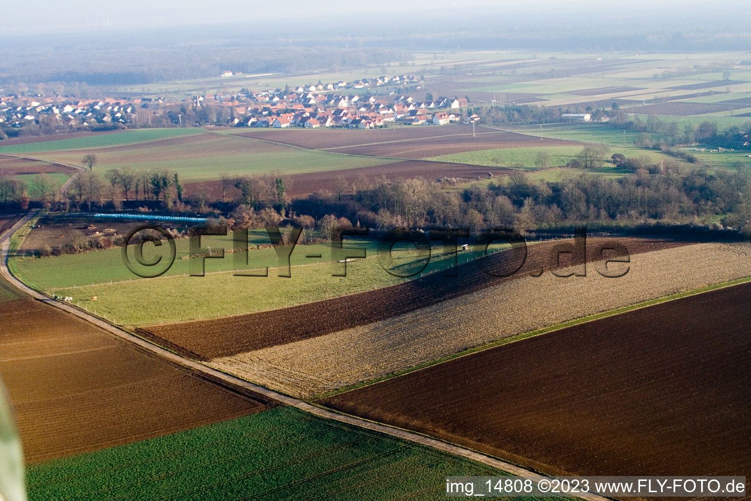 Freckenfeld dans le département Rhénanie-Palatinat, Allemagne vu d'un drone