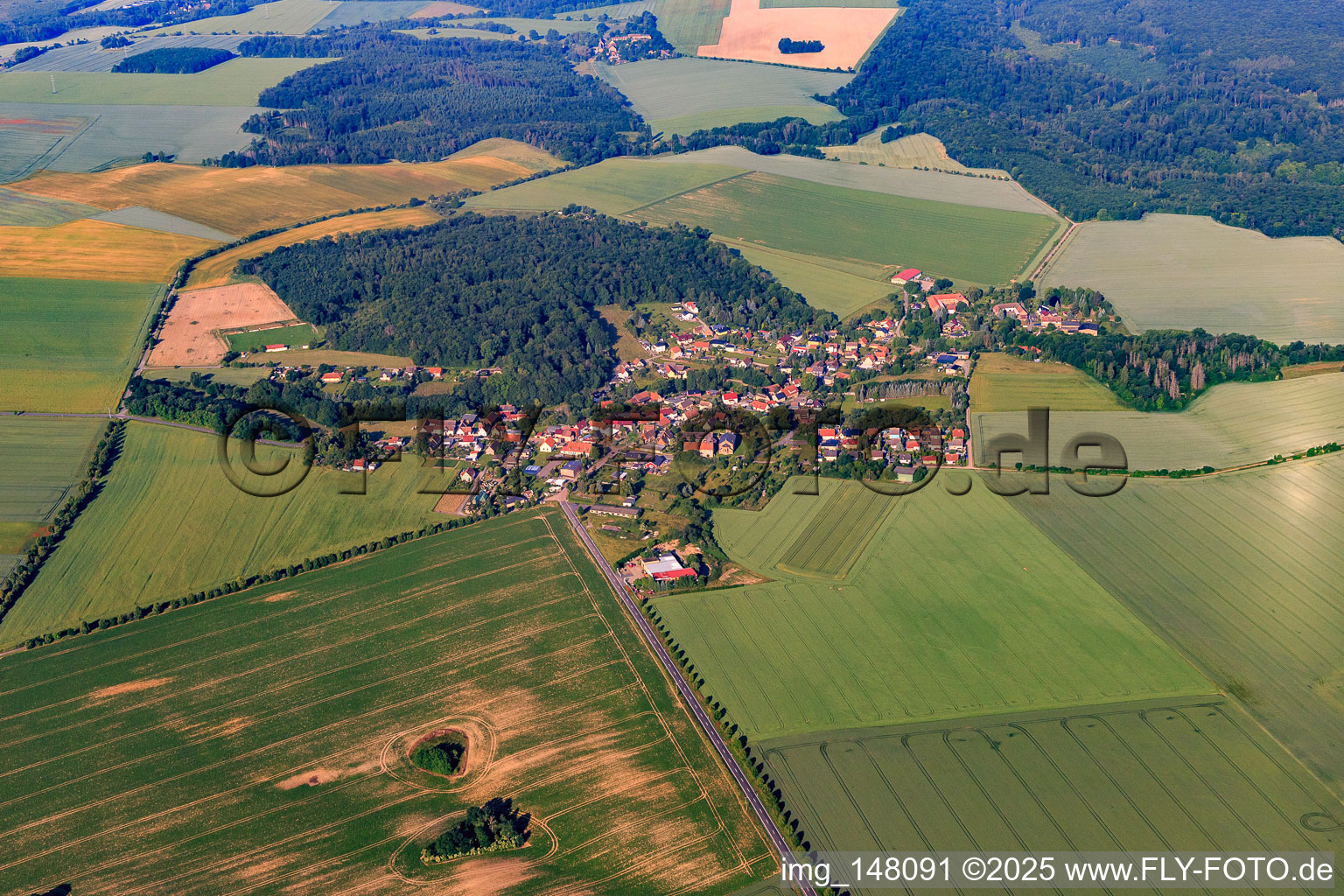 Vue aérienne de Vue du village depuis le nord-est à le quartier Bräunrode in Arnstein dans le département Saxe-Anhalt, Allemagne