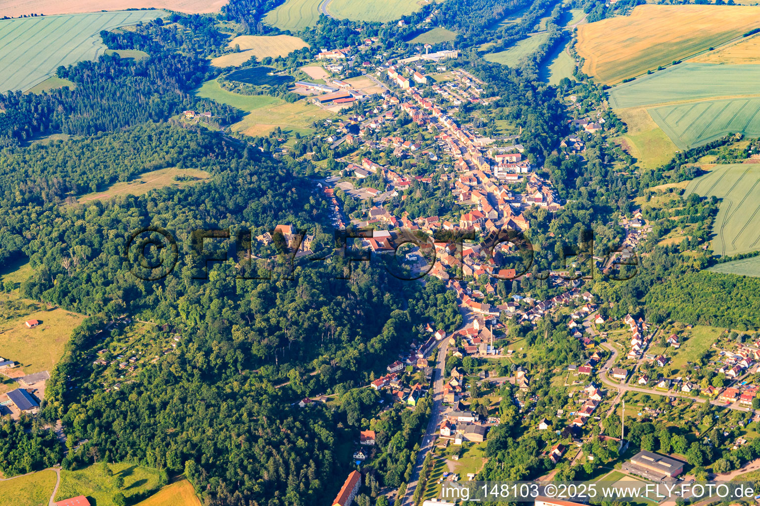 Vue aérienne de Vue de la ville depuis le nord avec le château Mansfeld à Mansfeld dans le département Saxe-Anhalt, Allemagne