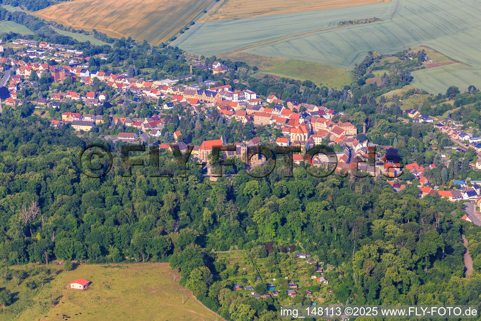 Vue aérienne de Château Mansfeld à Mansfeld dans le département Saxe-Anhalt, Allemagne