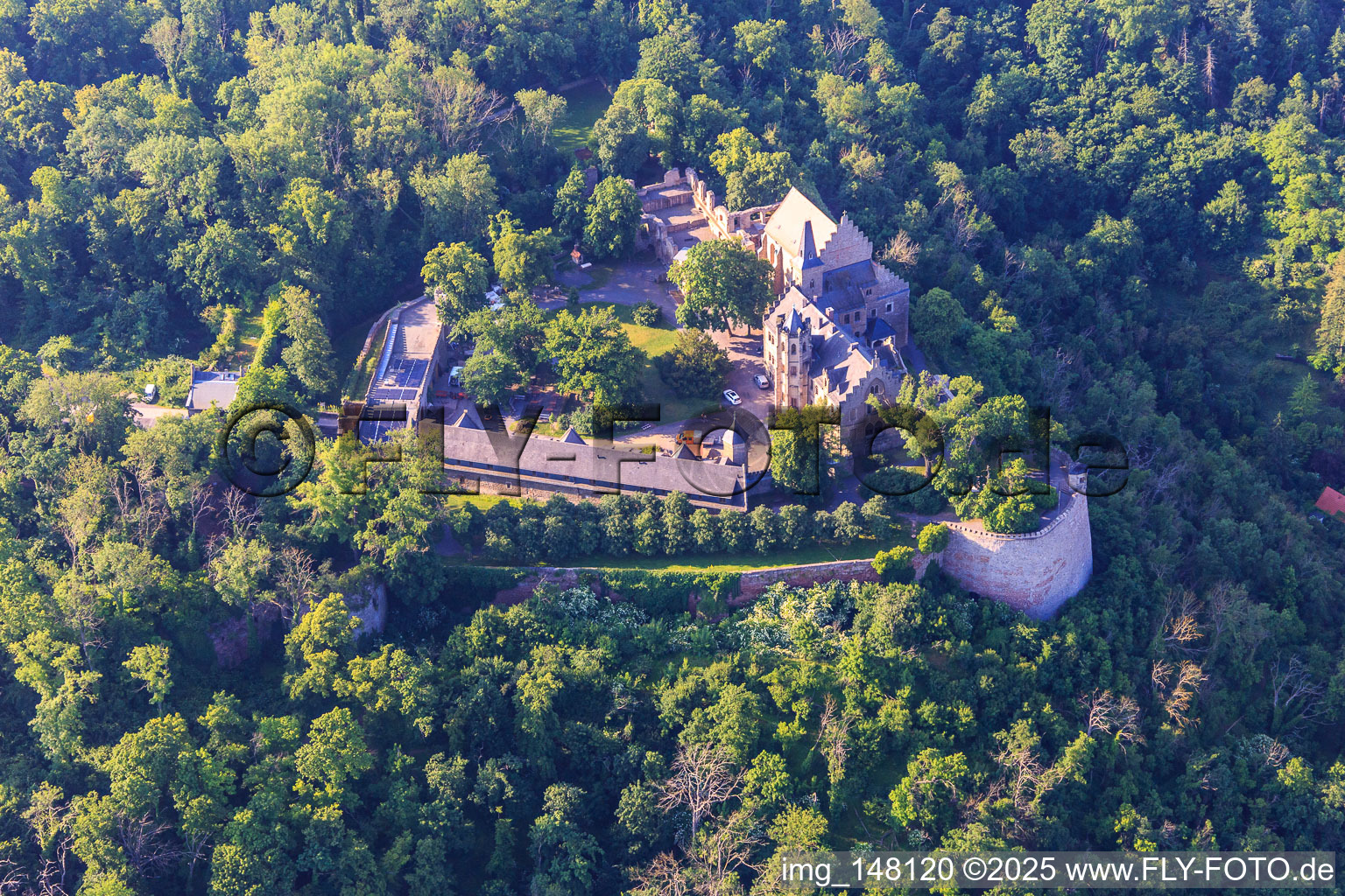 Vue oblique de Château Mansfeld à Mansfeld dans le département Saxe-Anhalt, Allemagne
