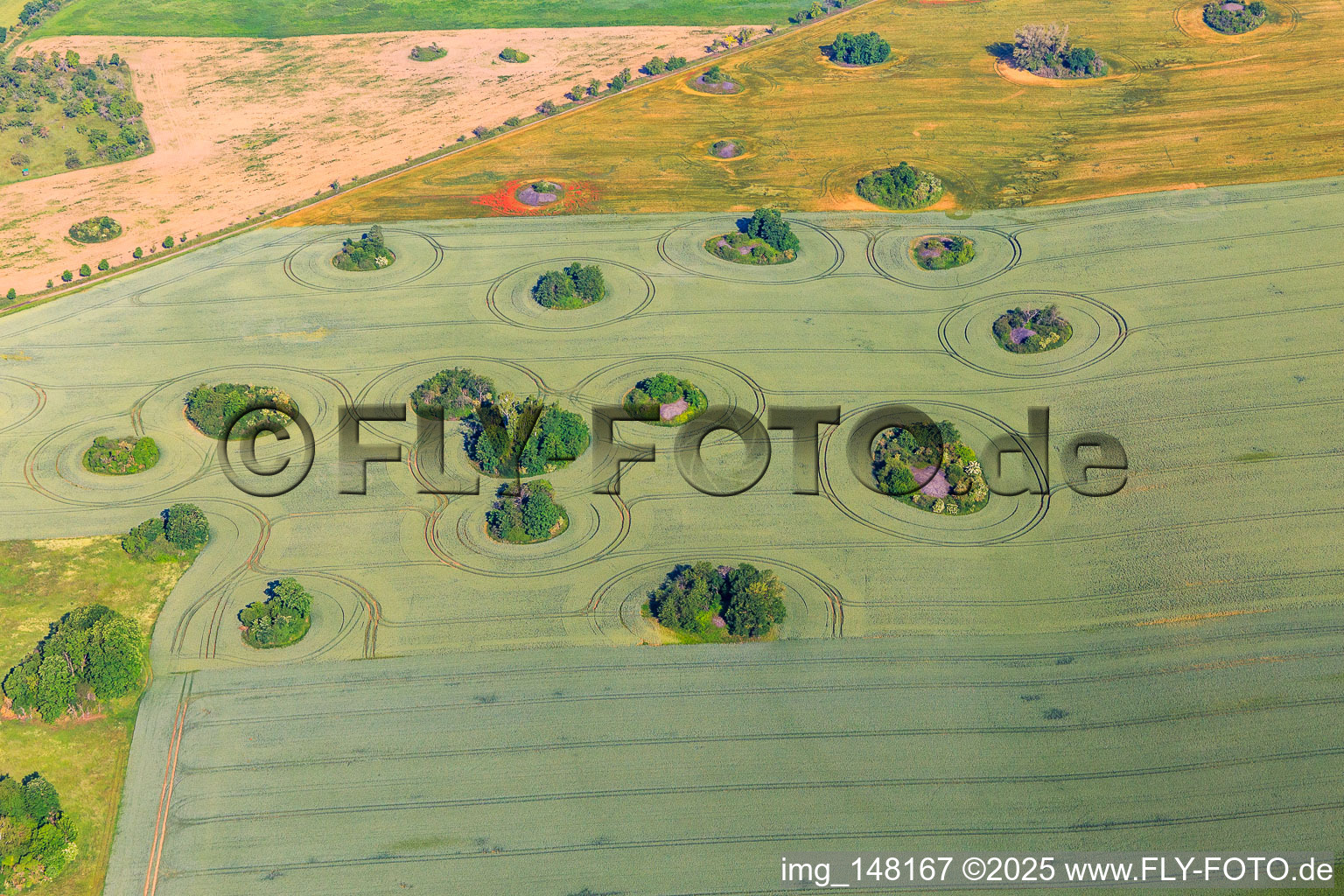 Vue aérienne de Les kameshügel de l'ère glaciaire forment des trous incultivables dans les champs à le quartier Arnstedt in Arnstein dans le département Saxe-Anhalt, Allemagne