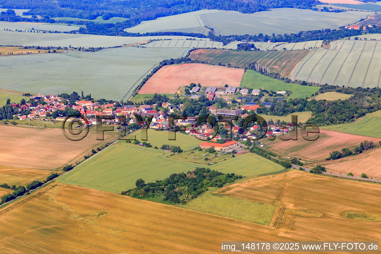 Vue aérienne de Vue du village depuis l'est à le quartier Endorf in Falkenstein dans le département Saxe-Anhalt, Allemagne