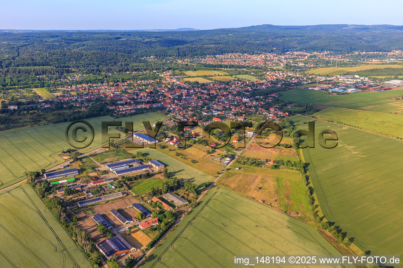 Vue aérienne de Vue du village depuis le nord-est avec Buchenhof Ballenstedt à le quartier Rieder in Ballenstedt dans le département Saxe-Anhalt, Allemagne