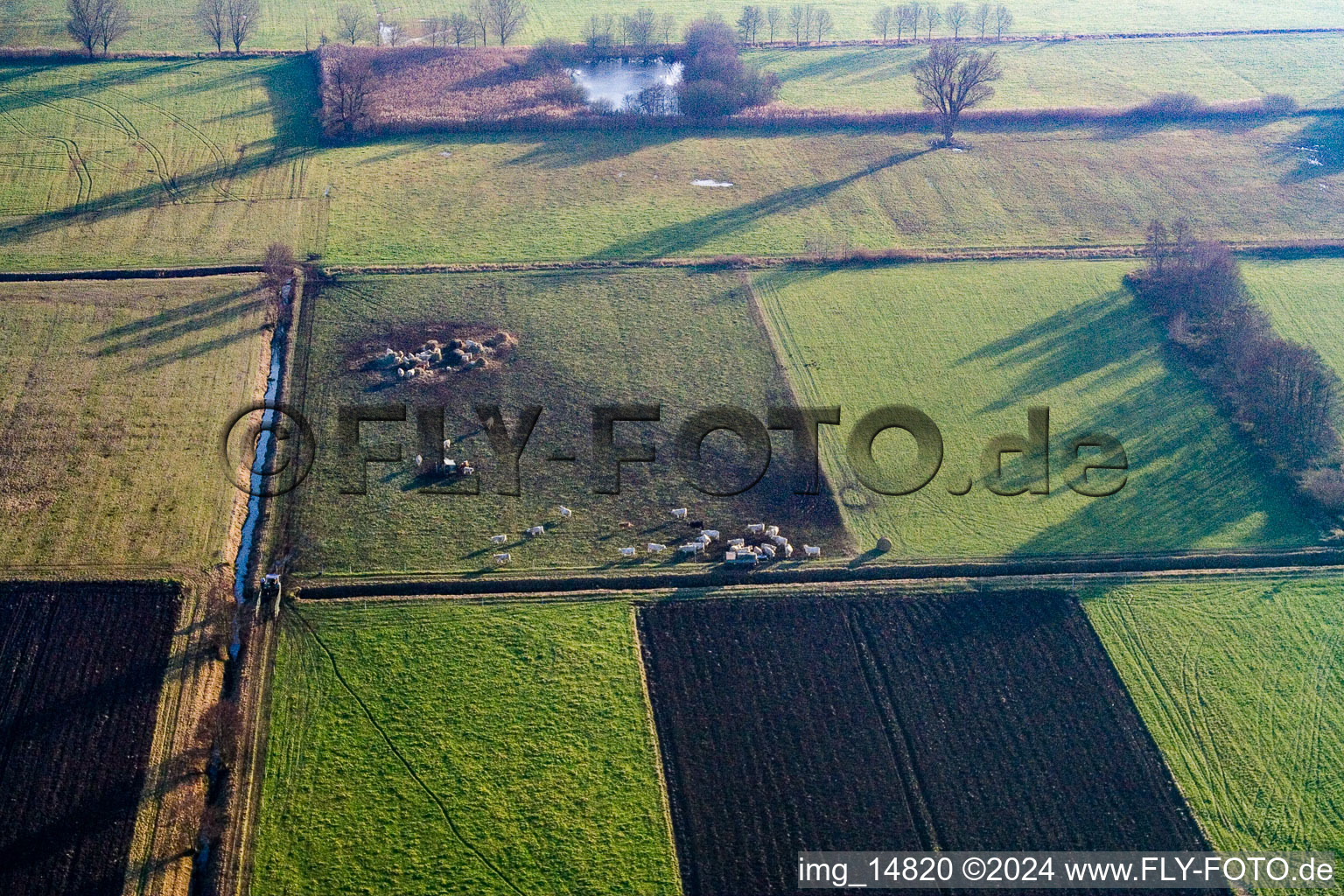 Vue oblique de Quartier Schaidt in Wörth am Rhein dans le département Rhénanie-Palatinat, Allemagne