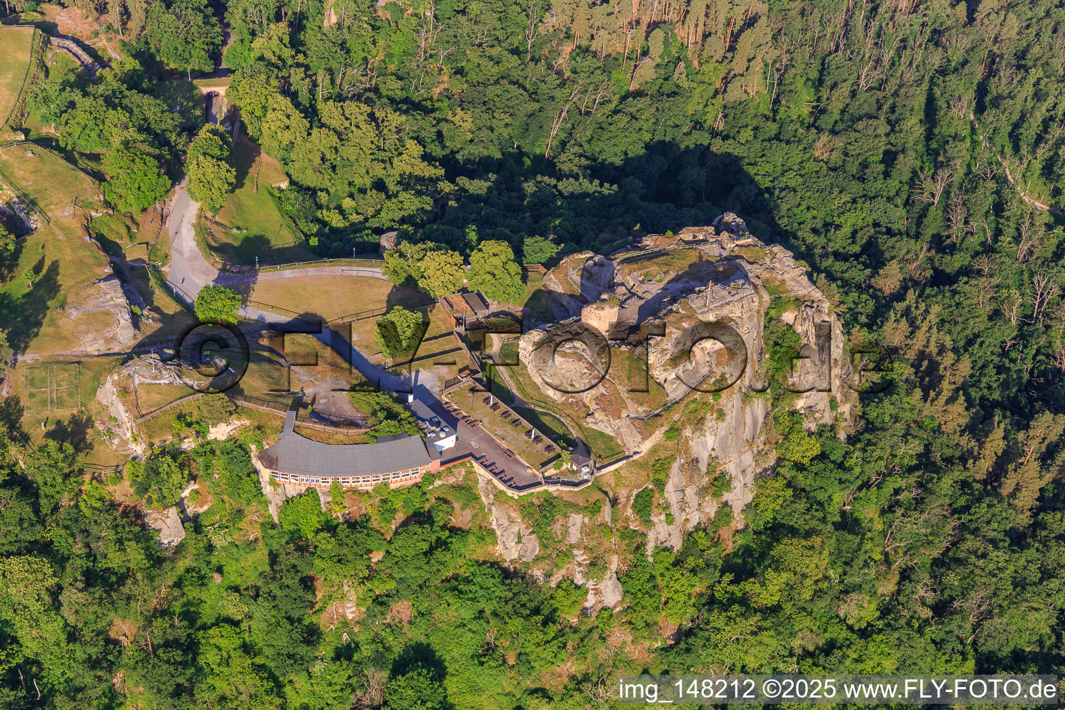 Image drone de Château et forteresse de Regenstein à Blankenburg dans le département Saxe-Anhalt, Allemagne