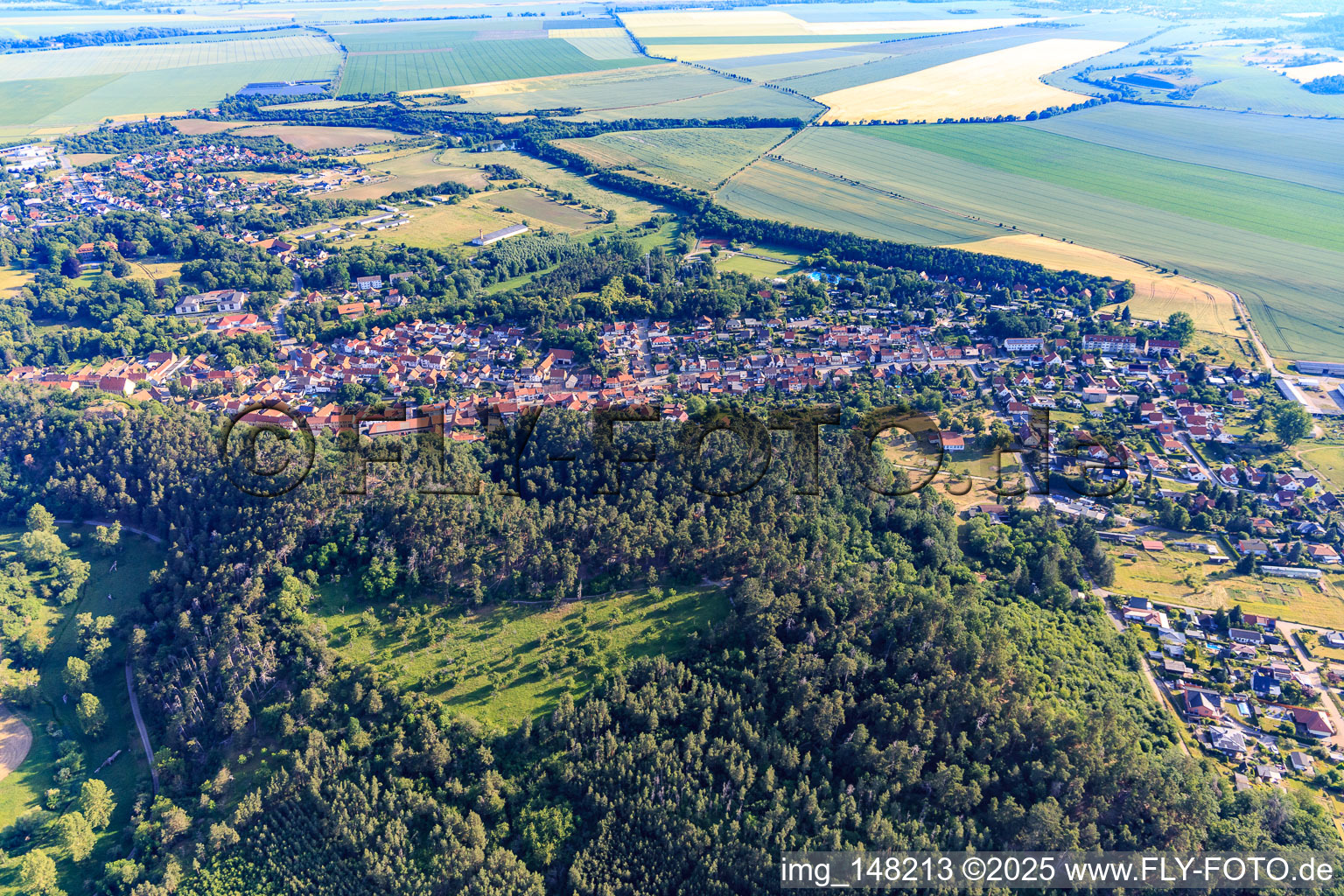 Vue aérienne de Vue de la ville depuis le sud à le quartier Langenstein in Halberstadt dans le département Saxe-Anhalt, Allemagne